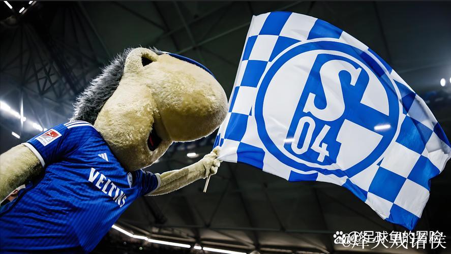 沙尔克锁定德乙半程冠军,重返德甲前景光明 沙尔克锁定德乙半程冠军,重返德甲前景光明